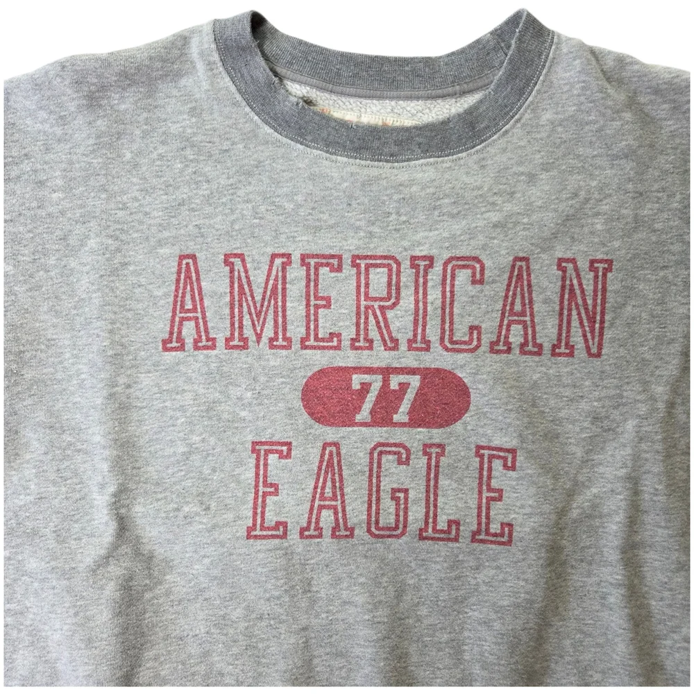 AEO Graphic Fleece Crewneck Sweatshirt Gray Pink Size XS - Picture 4 of 15